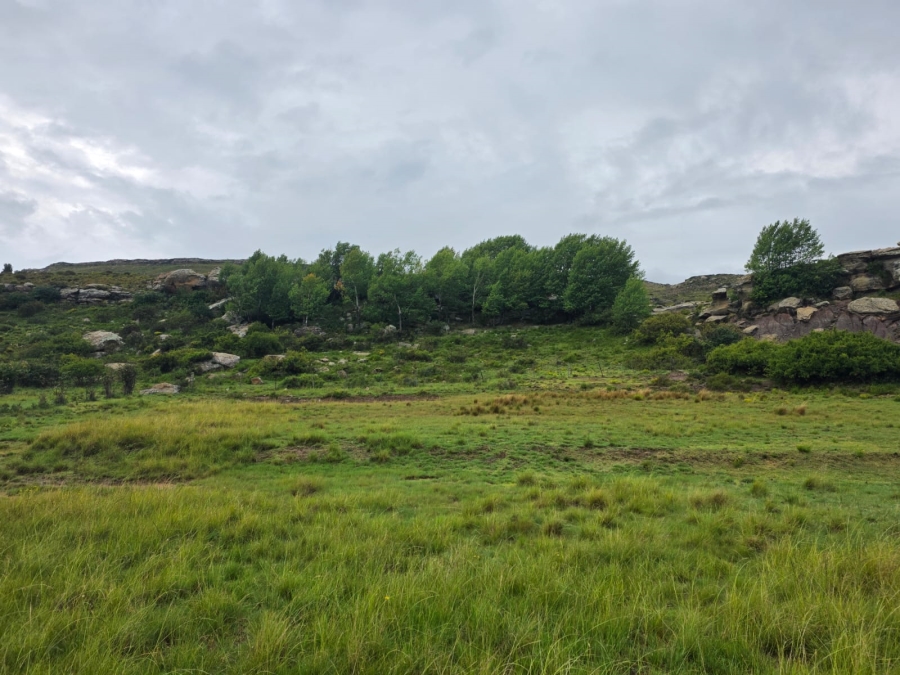 4 Bedroom Property for Sale in Jamestown Eastern Cape